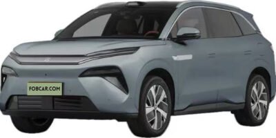 Tang L DM 215 Km Flagship